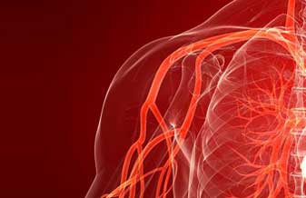 Doutora Maura Aparecida da Silva - Foto 1