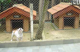 Hypnose Kennel - Foto 1