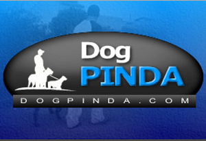 Canil Emboava Working Dogs - Foto 1