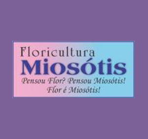 Floricultura Miosótis - Foto 1
