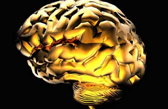 Clínica Eletroneuro Schimidt - Foto 1