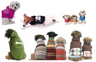 Chic Dog Pet Shop - Foto 1