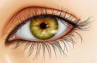 Natural Mente - Foto 1