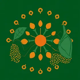 participação social e controle das políticas de assistência social