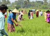 Dia de Campo em Pinda