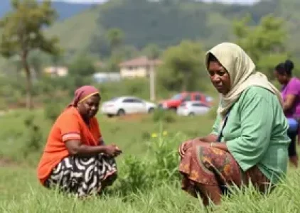 Últimas noticias de Pindamonhangaba