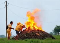 IPTU Pindamonhangaba