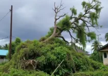 temporal Pindamonhangaba