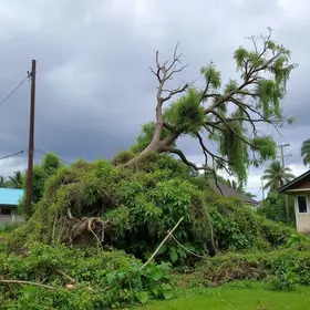 temporal Pindamonhangaba