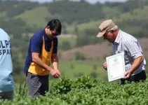 pista do ‘João do Pulo’