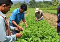 ETEC de Pindamonhangaba