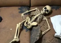 ossada humana carbonizada