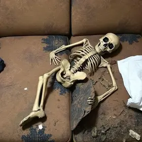 ossada humana carbonizada