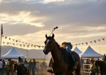 Pinda Rodeio Fest 2026