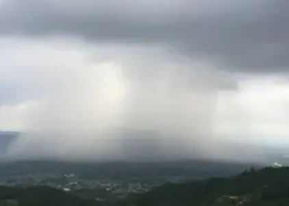 Últimas noticias de Pindamonhangaba