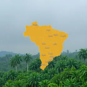 alertas de chuvas intensas