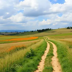 caminhos rurais