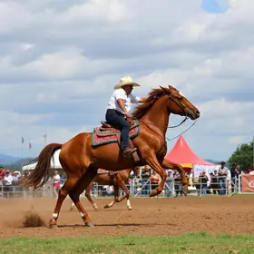 Rodeio em Pindamonhangaba