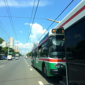suspensão da Expresso Gardenia