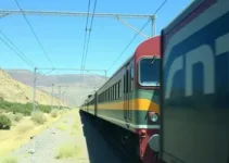 ANTT suspende linhas de transporte interestadual