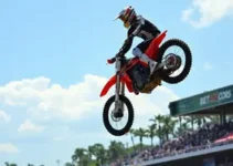 Arena Freestyle