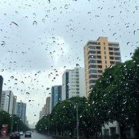 Plantão