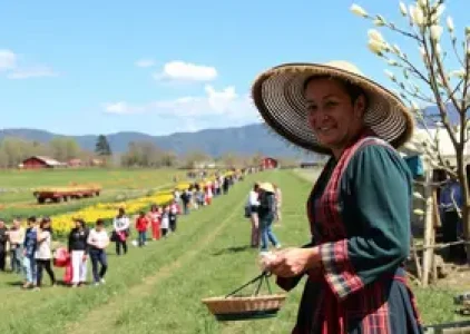 Últimas noticias de Pindamonhangaba