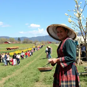 Festival da Primavera