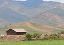 AgoraVale